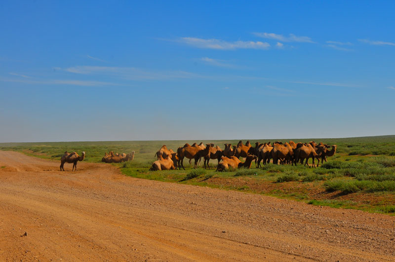 Mongolia